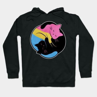 Pansexual Eternal Yin Yang Cat Hoodie